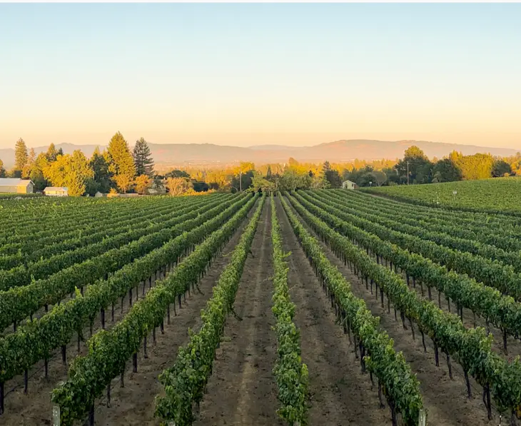 St. Helena