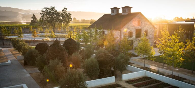 The Vines of St. Helena: HALL Wines