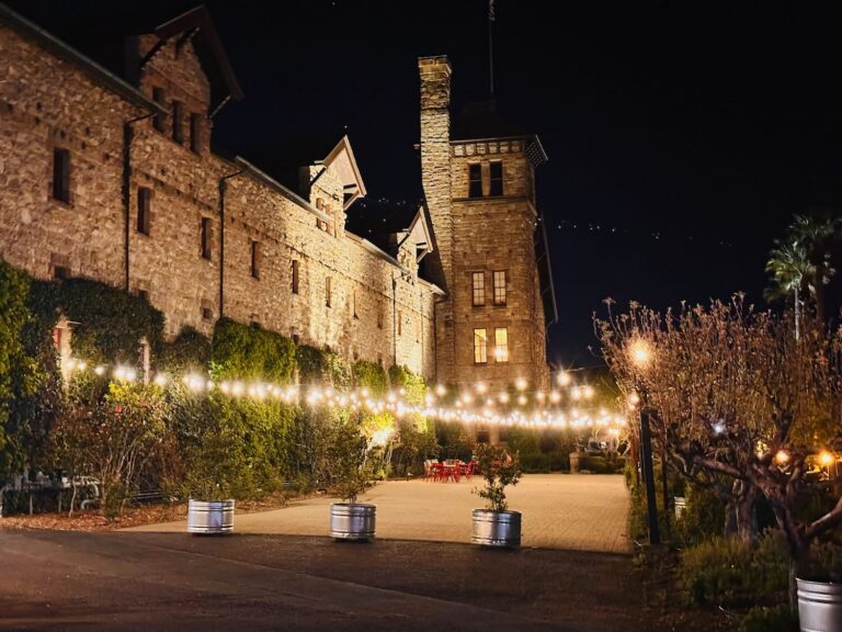 bASH pairs culinary students with St. Helena wines